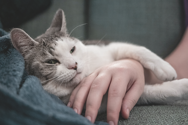 Dr-Sepida-Sazgar-Psychologist-For-Adults